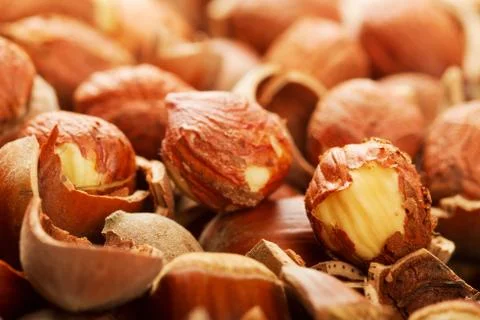 Shell of wood nuts and nuts Stock Photos