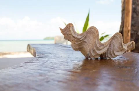 Shell on wooden table, blurred background Stock Photos
