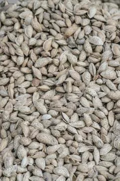 Shelled almonds as a background Stock Photos