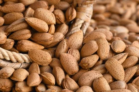 Shelled almonds close up Stock Photos