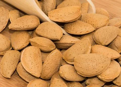 Shelled almonds Stock Photos