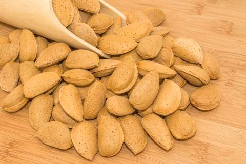 Shelled almonds Stock Photos