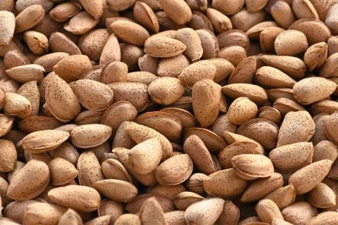 Shelled almonds Stock Photos