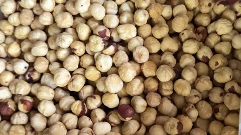 Shelled hazelnuts close up in transparent containers with natural nut texture 库存影片 345723903