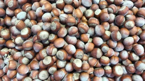 Shelled hazelnuts Video stock 145223203