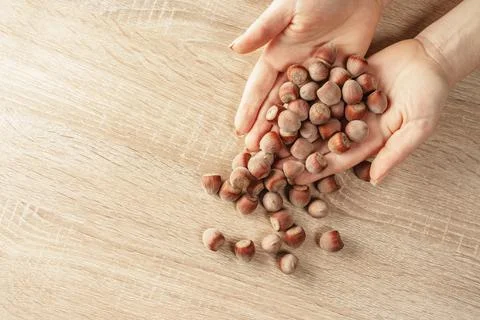 Shelled hazelnuts in hands Stock-Fotos
