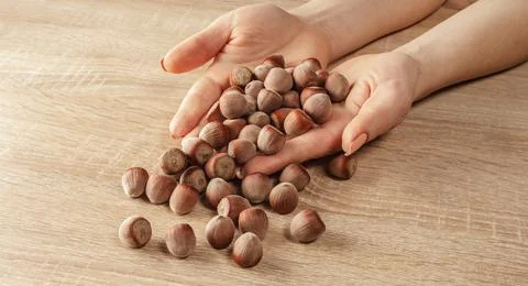 Shelled hazelnuts in hands Stock Photos