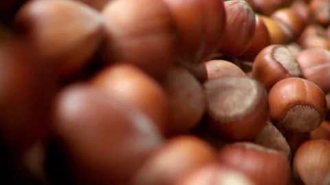 Shelled hazelnuts on wooden surface move in to camera in slow motion. Macro Video stock 132298125