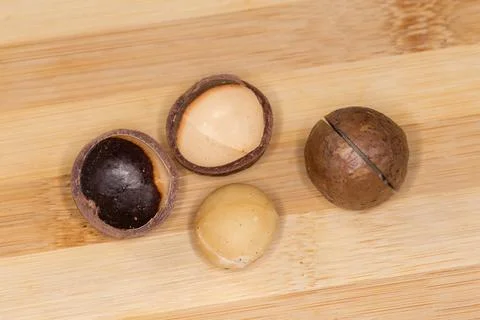 Shelled macadamia nut and same whole nut with sawn shell Stock Photos