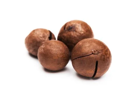 Shelled  macadamia nuts on white background Stock Photos