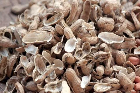 Shelled out of peanuts. Stock Photos