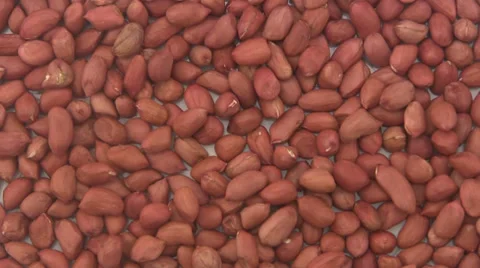 Shelled peanuts. Stock-Footage 39562956