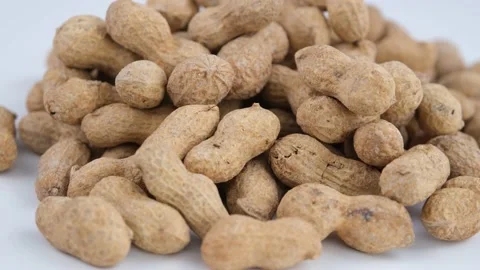 Shelled peanuts Video stock 236146003