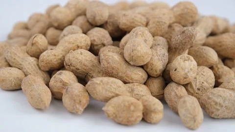Shelled peanuts Stock Footage 236146019