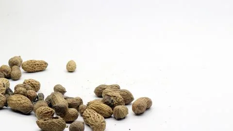 Shelled peanuts isolated Stock Photos