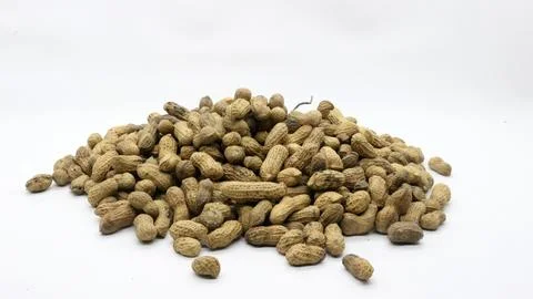 Shelled peanuts isolated Stock Photos