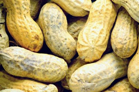 Shelled peanuts Stock Photos