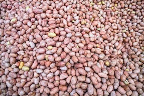 Shelled peanuts Stock Photos