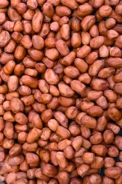 Shelled peanuts Stock Photos
