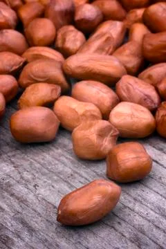 Shelled peanuts Stock Photos