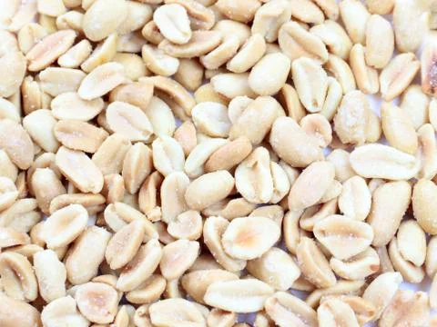 The shelled peanuts 写真素材