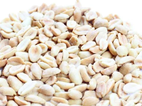 The shelled peanuts 写真素材