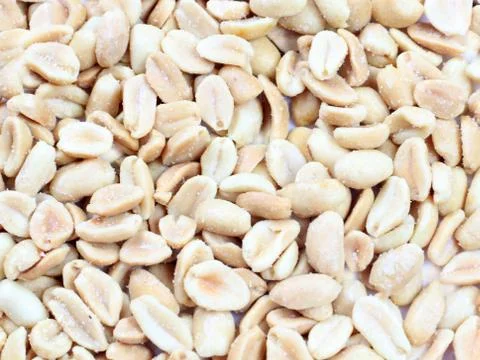 The shelled peanuts Foto stock