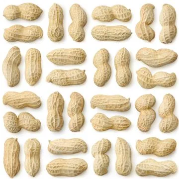 Shelled peanuts seamless pattern Stock Photos