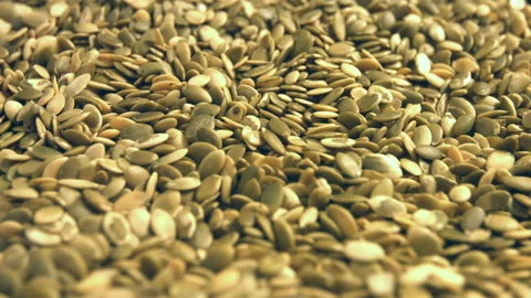 Shelled pumpkin seeds. Stock Footage 90196783