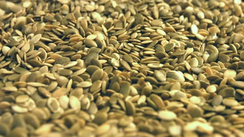Shelled pumpkin seeds. Video stock 90196964