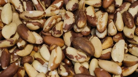 Shelled raw brazil nut kernels close up Stock Footage 248175431