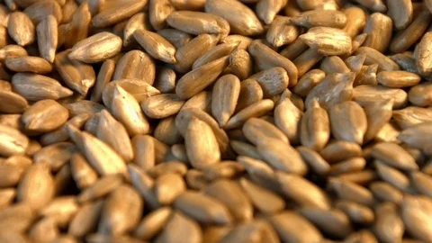 Shelled sunflower seeds on a white background. Close-up. Vertical pan. Stock-Footage 73083340