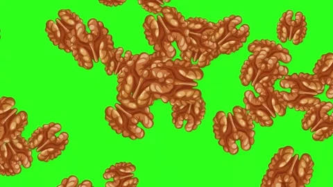 Shelled Walnut Halves Falling and Floating on Green Screen Background Stock Footage 345297195