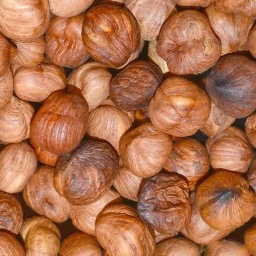 Shelled walnut hazelnut Stock Photos