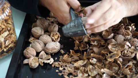Shelled walnuts breaking Stock Footage 147742731