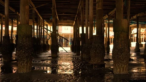 Shellfisch on Stakes Stock Footage 96165773