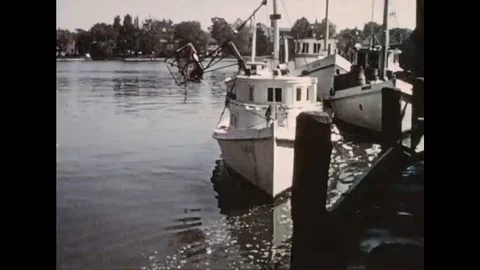 Shellfish and crabs are harvested in the Chesapeake region of Florida in the Stock Footage 123871480