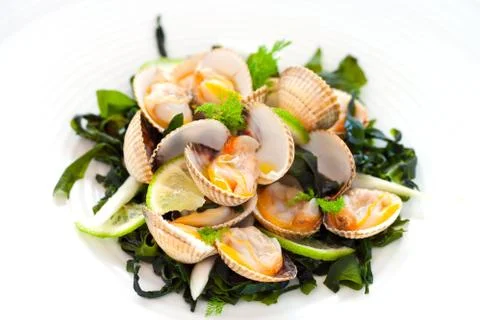 Shellfish Clam appetizer. Stock Photos