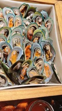 Shellfish clams on ice buffet restaurant Stock Photos