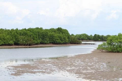 Shellfish farm, thailand . Stock Photos