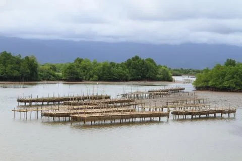 Shellfish farm, thailand . Stock Photos
