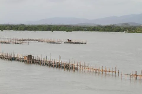 Shellfish farm, thailand . Stock Photos