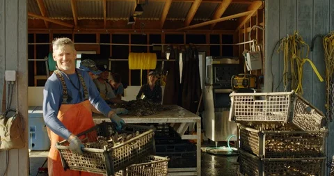 Shellfish fishers sorting their catch. Stockbeeldmateriaal 88372225