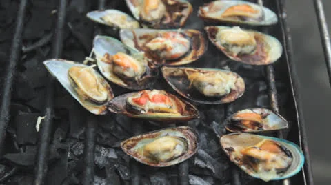 Shellfish Grill Stock Footage 22992529