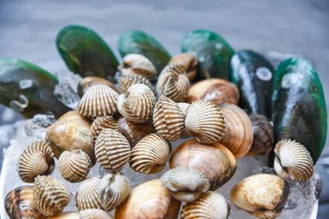 Shellfish on ice background / Fresh raw blood cockle green mussels and enamel Stock Photos