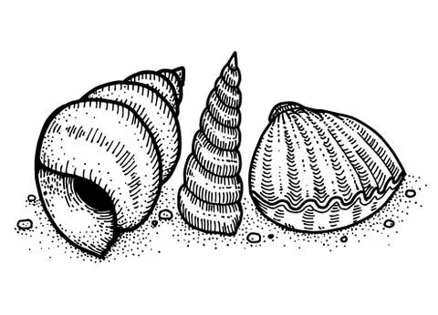 Shellfish Иллюстрация