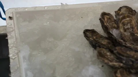 Shellfish - Mussels Stock Footage 32702094