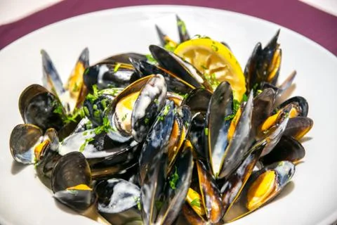 Shellfish Mussels in white sauce. Shellfish seafood. Close up and selective f Stock Photos