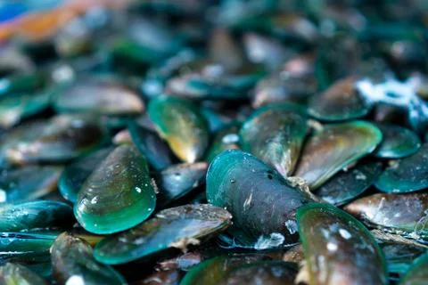 Shellfish Stock Photos