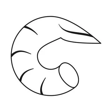 Shellfish Prawn Vector Icon Stock Illustration